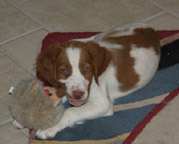 charlie